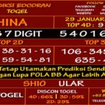 Prediksi Virdsam China 29 Januari 2021 prediksi-virdsam-china-29-januari-2021-alexistogel
