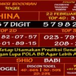 Prediksi Virdsam China 22 Februari 2021 prediksi-virdsam-china22-februari-alexistogel