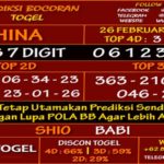 Prediksi Virdsam China 26 Februari 2021 prediksi-virdsam-china26-februari-alexistogel