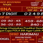 Prediksi Virdsam China 27 Februari 2021 prediksi-virdsam-china27-februari-alexistogel