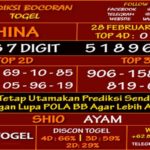 Prediksi Virdsam China 28 Februari 2021 prediksi-virdsam-china28-februari-alexistogel