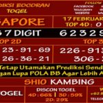 Prediksi Virdsam Singapore 17 Februari 2021 prediksi-virdsam-singapore-17-februari-2021-alexistogel